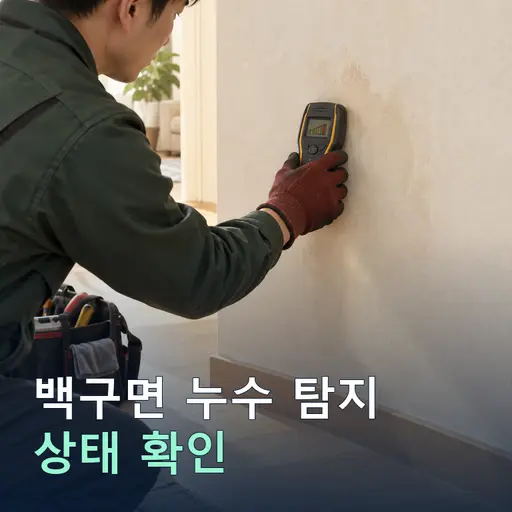 백구면 누수탐지 - 음향·열화상·내시경 검사