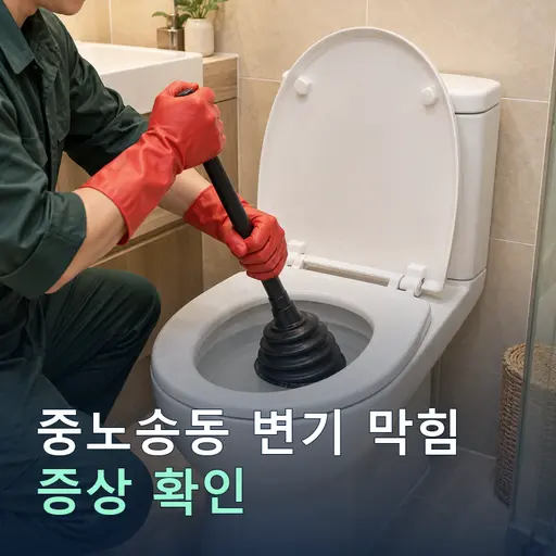 중노송동 변기막힘 - 정확한 진단·당일 방문
