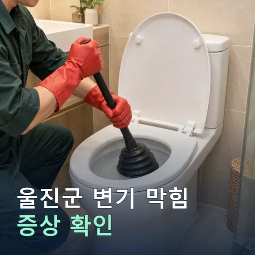 경북 울진군 변기막힘 - 새벽 출동·빠른 방문