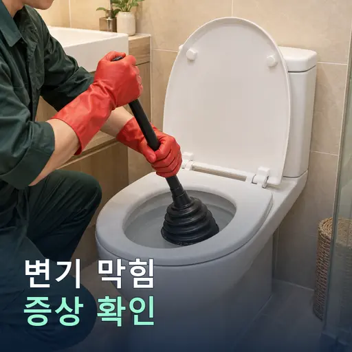 신필리 변기막힘 - 10년 경력 기사·정찰제