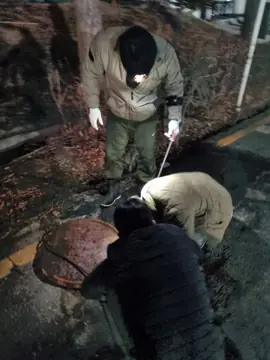 인천 계양 — 빌라 주방 싱크대 막힘 현장 사진