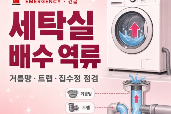 세탁실 배수 역류 — 거름망·트랩·집수정 단계별 점검