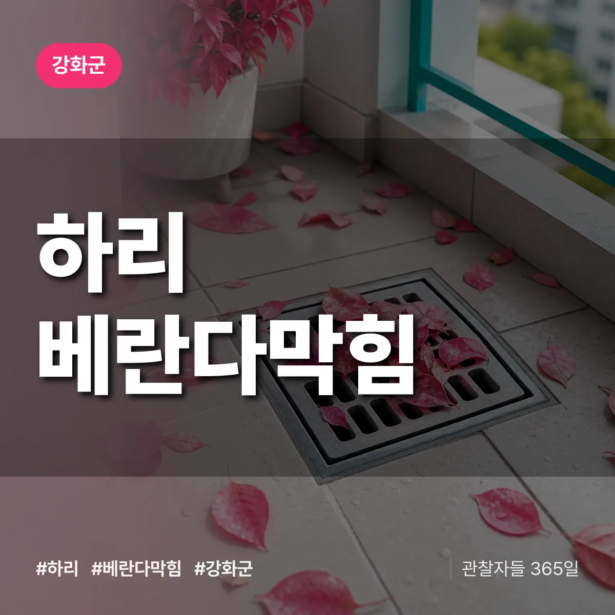 하리 베란다막힘 배너