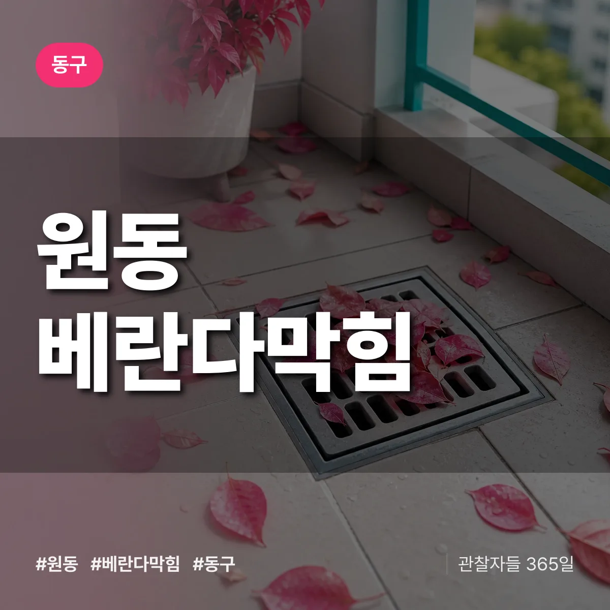동구 원동 베란다막힘 상담 배너