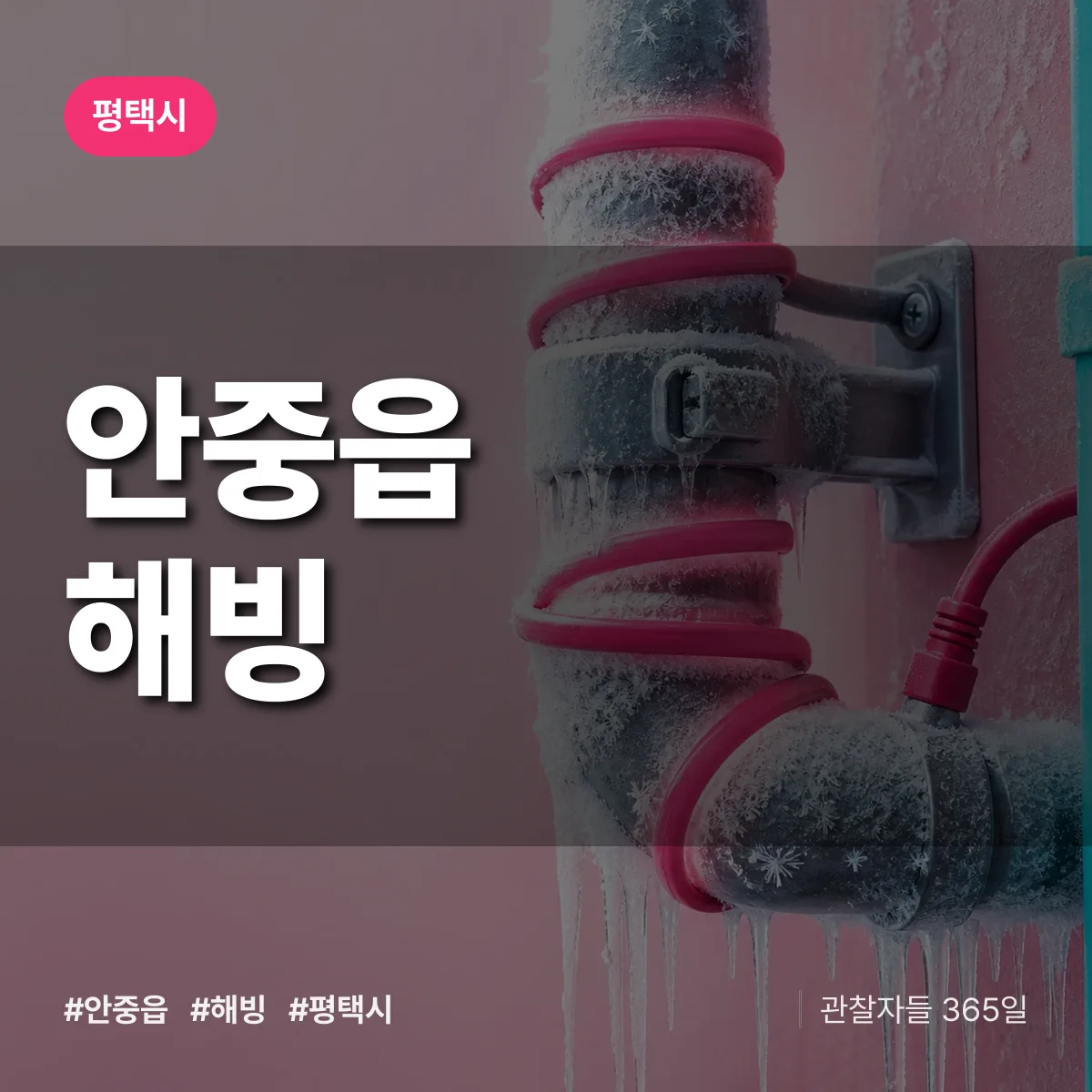 안중읍 해빙 배너