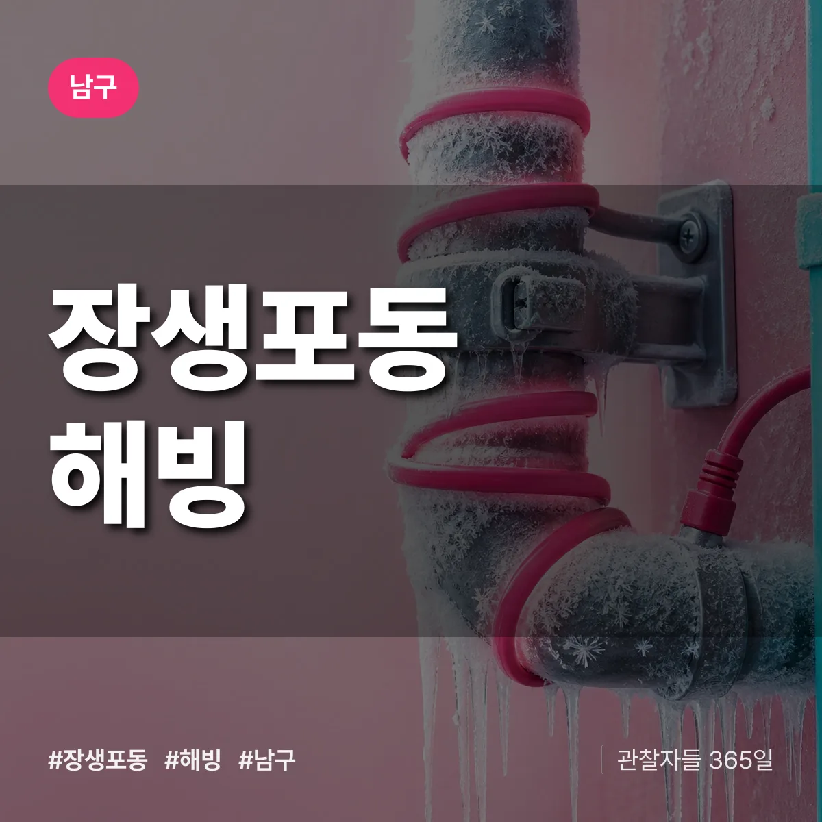 장생포동 해빙 배너
