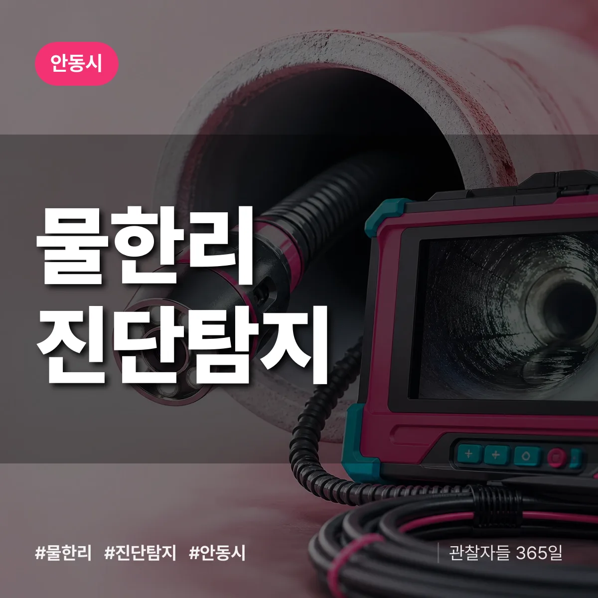 경북 안동시 물한리 진단/탐지 배너
