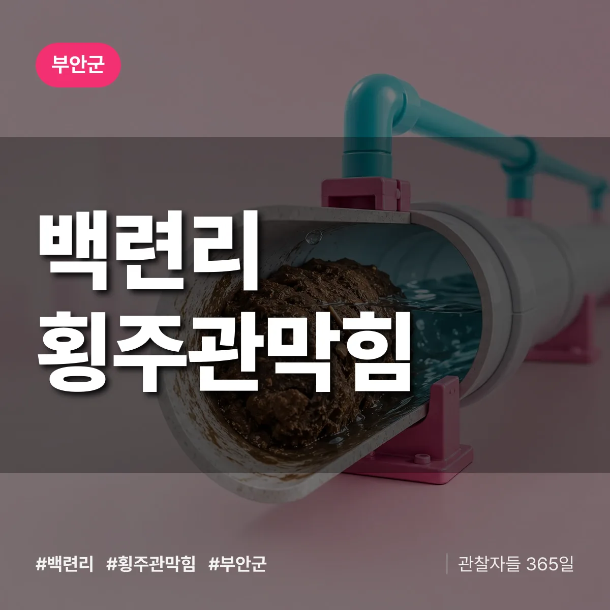 백련리 횡주관막힘 배너