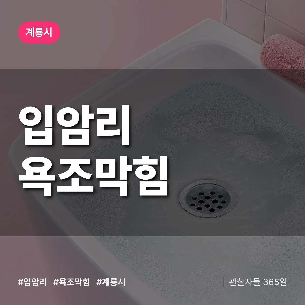 입암리 욕조막힘 배너