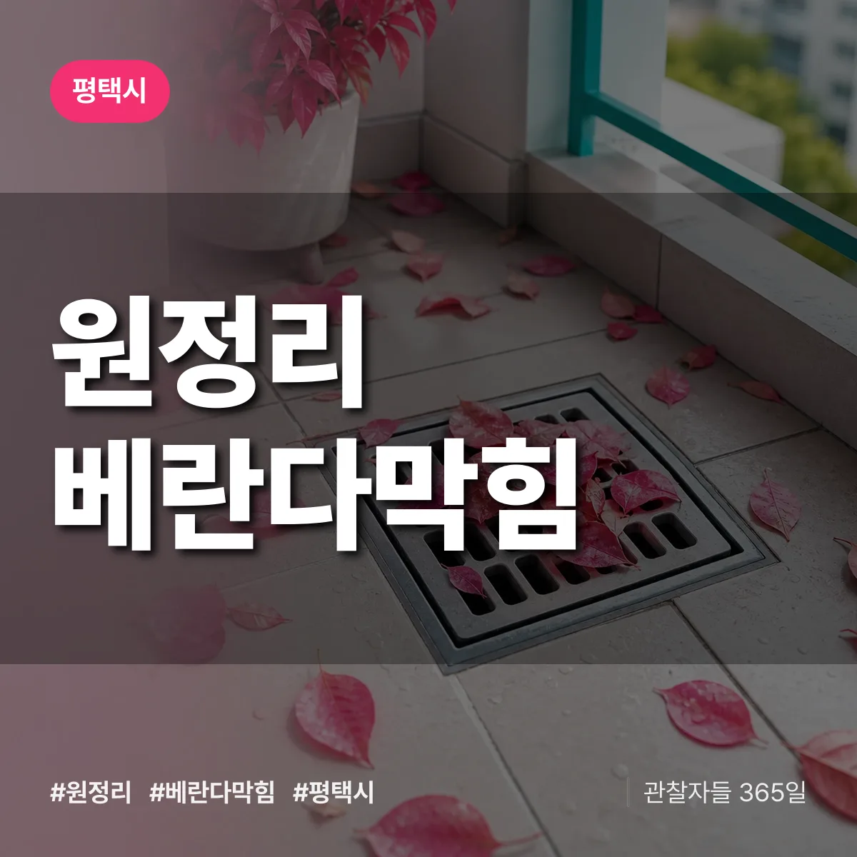 원정리 베란다막힘 배너