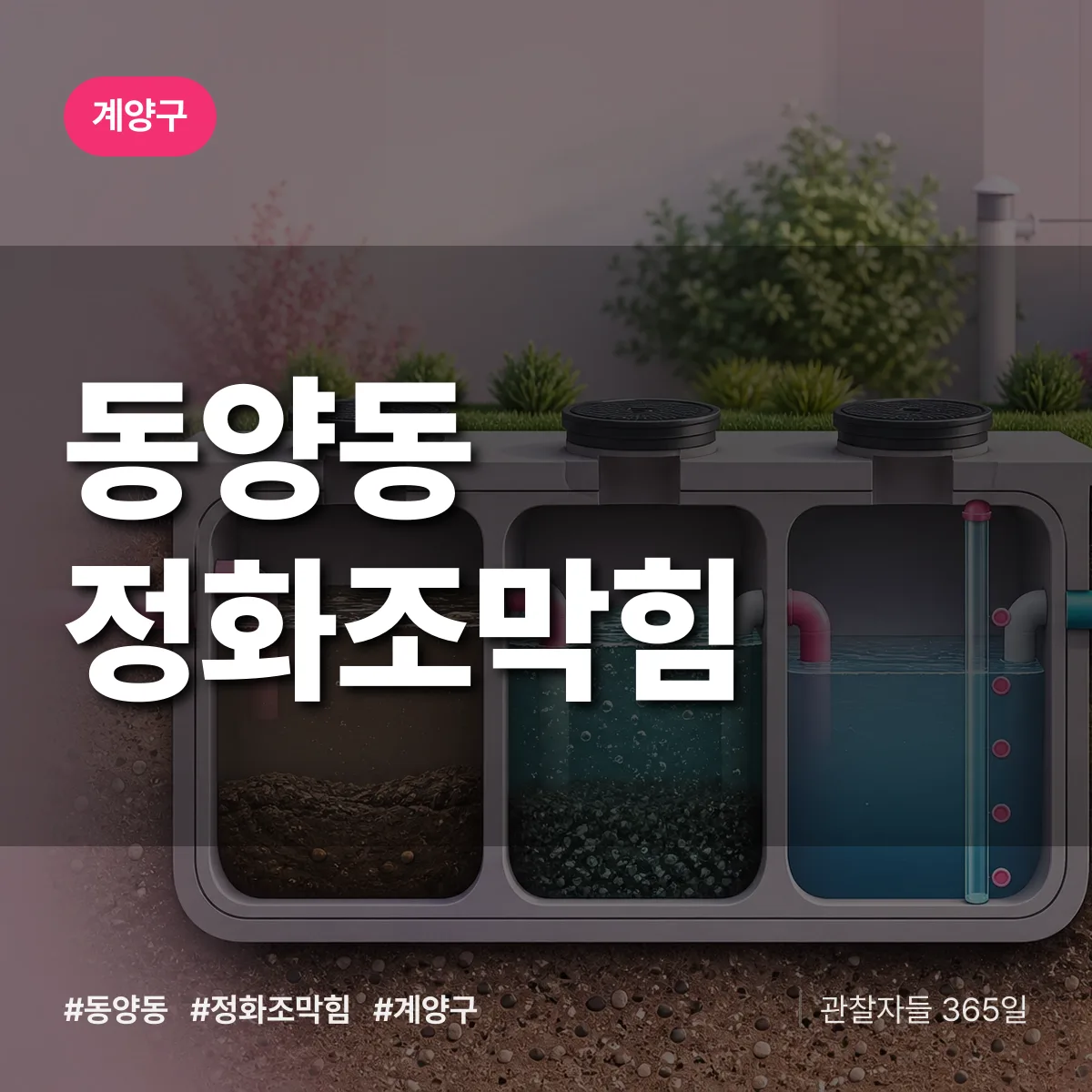 동양동 정화조막힘 배너