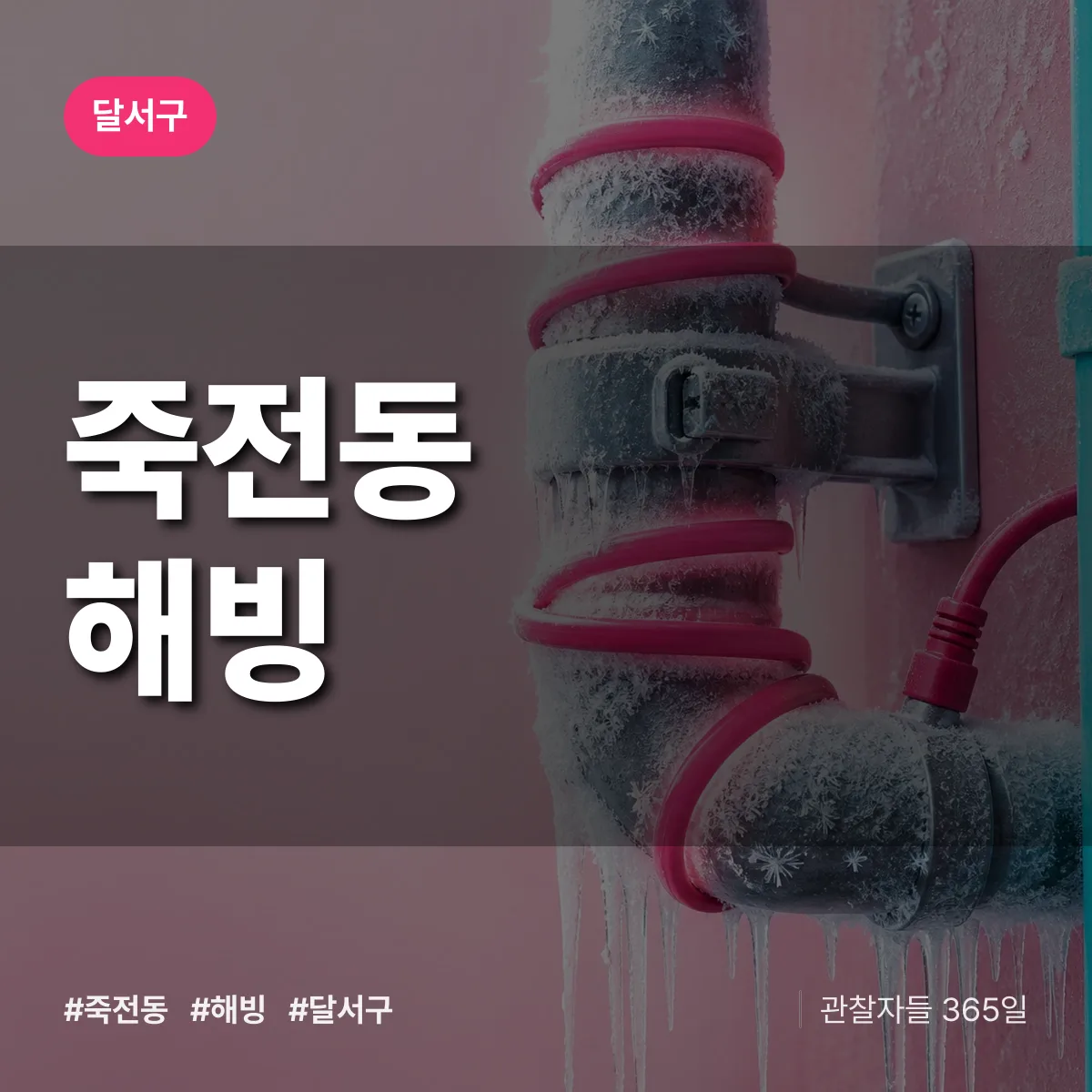죽전동 해빙 배너