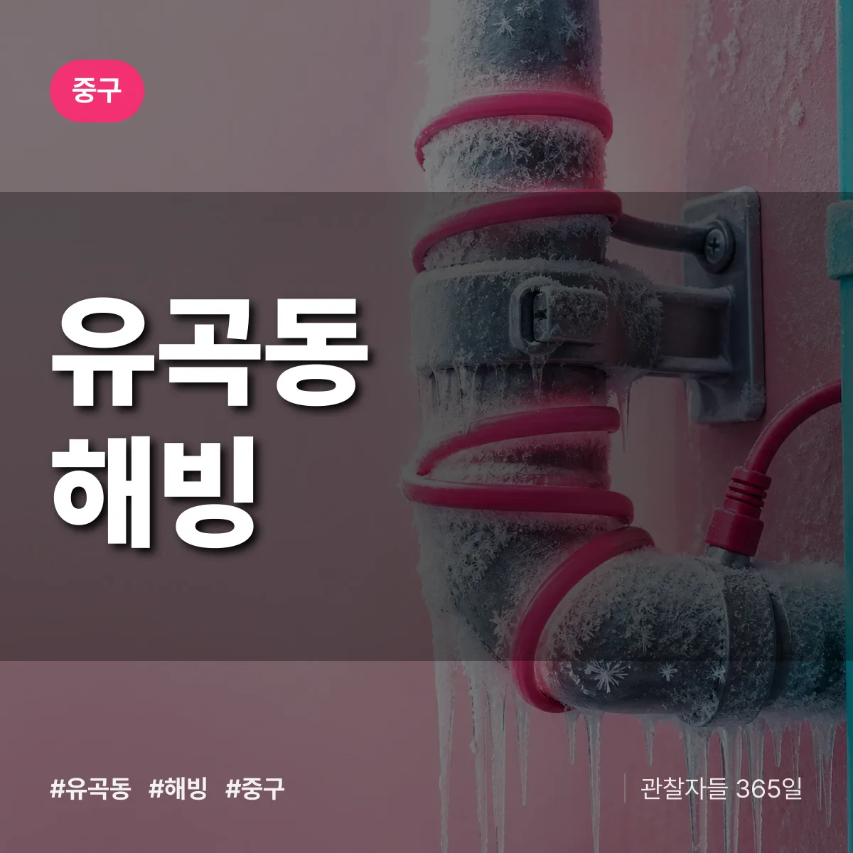 유곡동 해빙 배너
