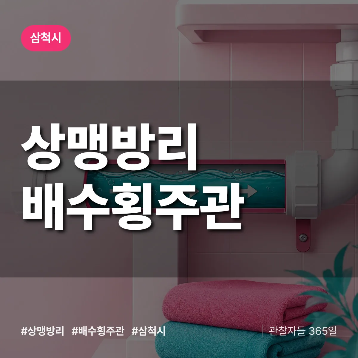 상맹방리 배수횡주관 배너