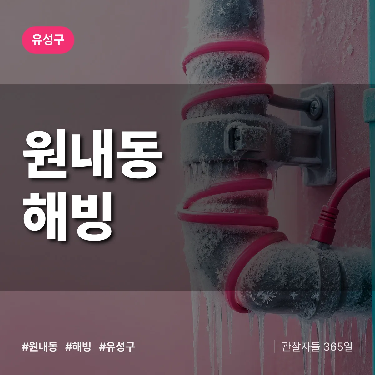 원내동 해빙 배너