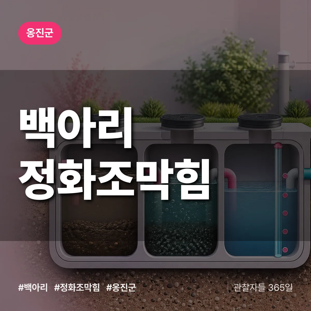 백아리 정화조막힘 배너