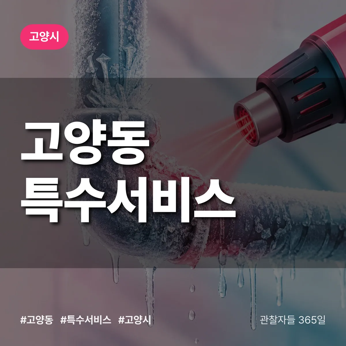 고양시 고양동 특수서비스 상담 배너