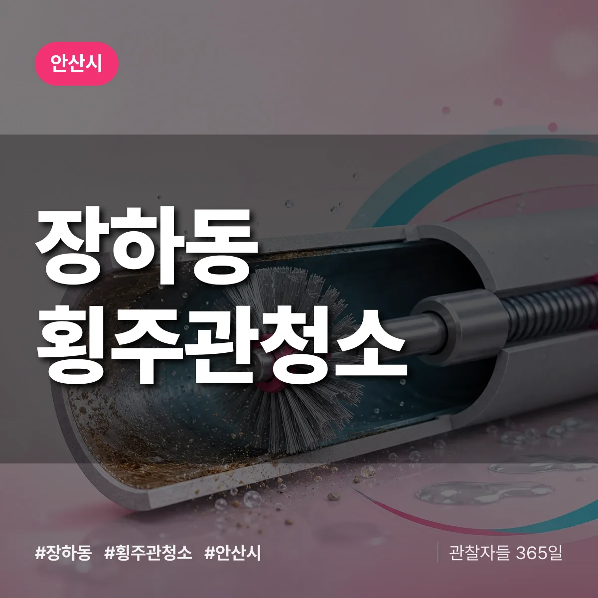 장하동 횡주관청소 배너