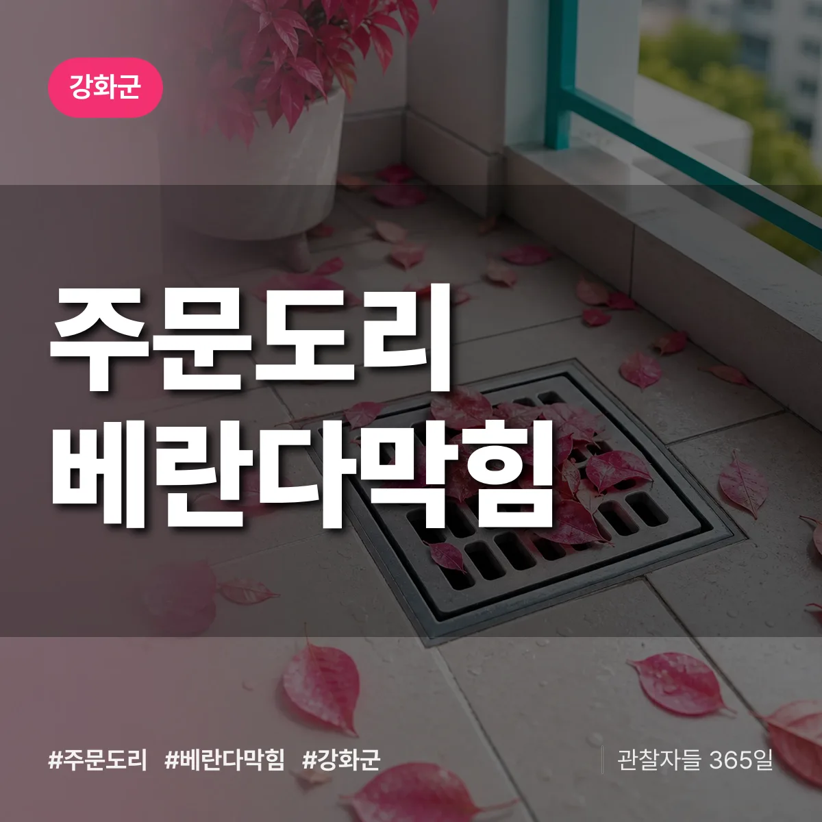 주문도리 베란다막힘 배너