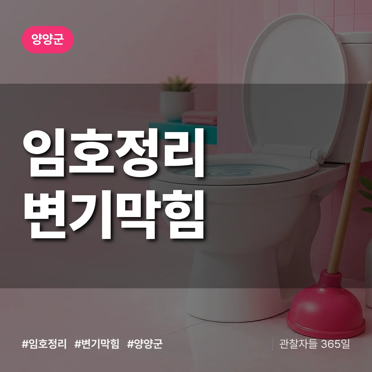 임호정리 변기막힘 배너