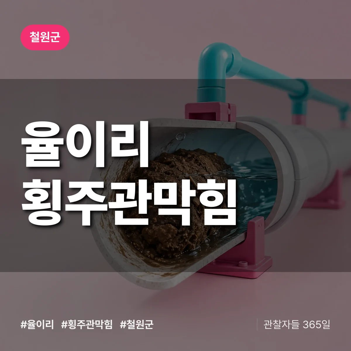 율이리 횡주관막힘 배너
