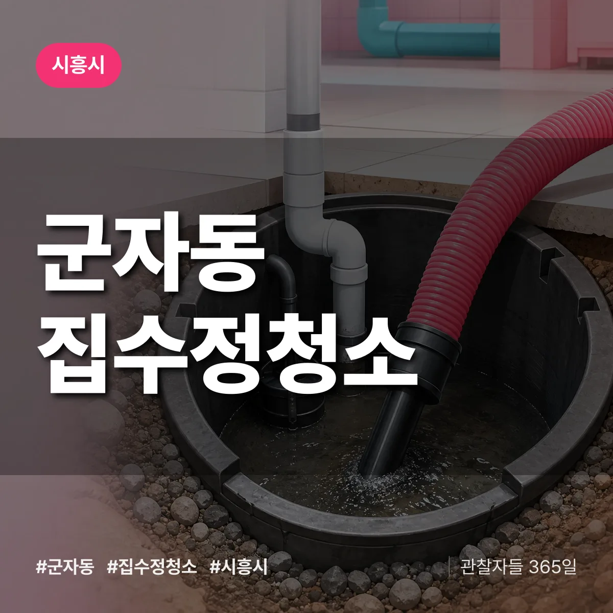 경기 시흥시 군자동 집수정청소 배너