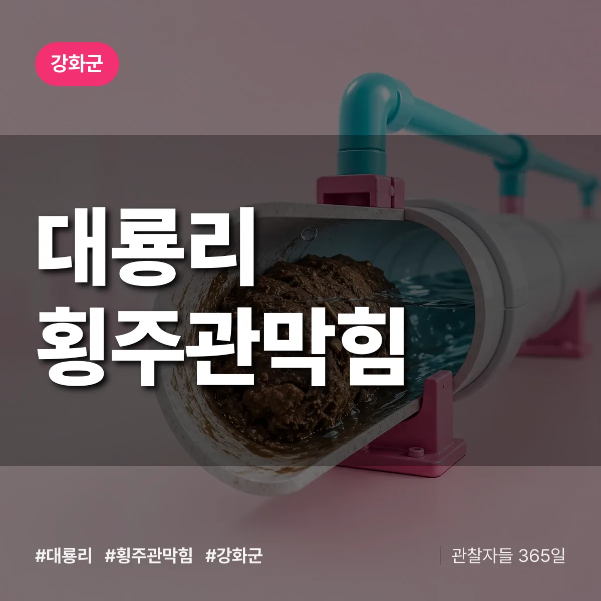 강화군 대룡리 횡주관막힘 상담 배너