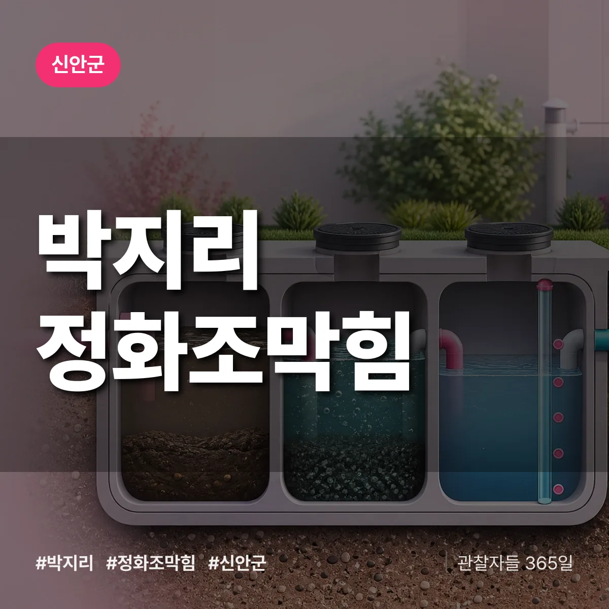 박지리 정화조막힘 배너
