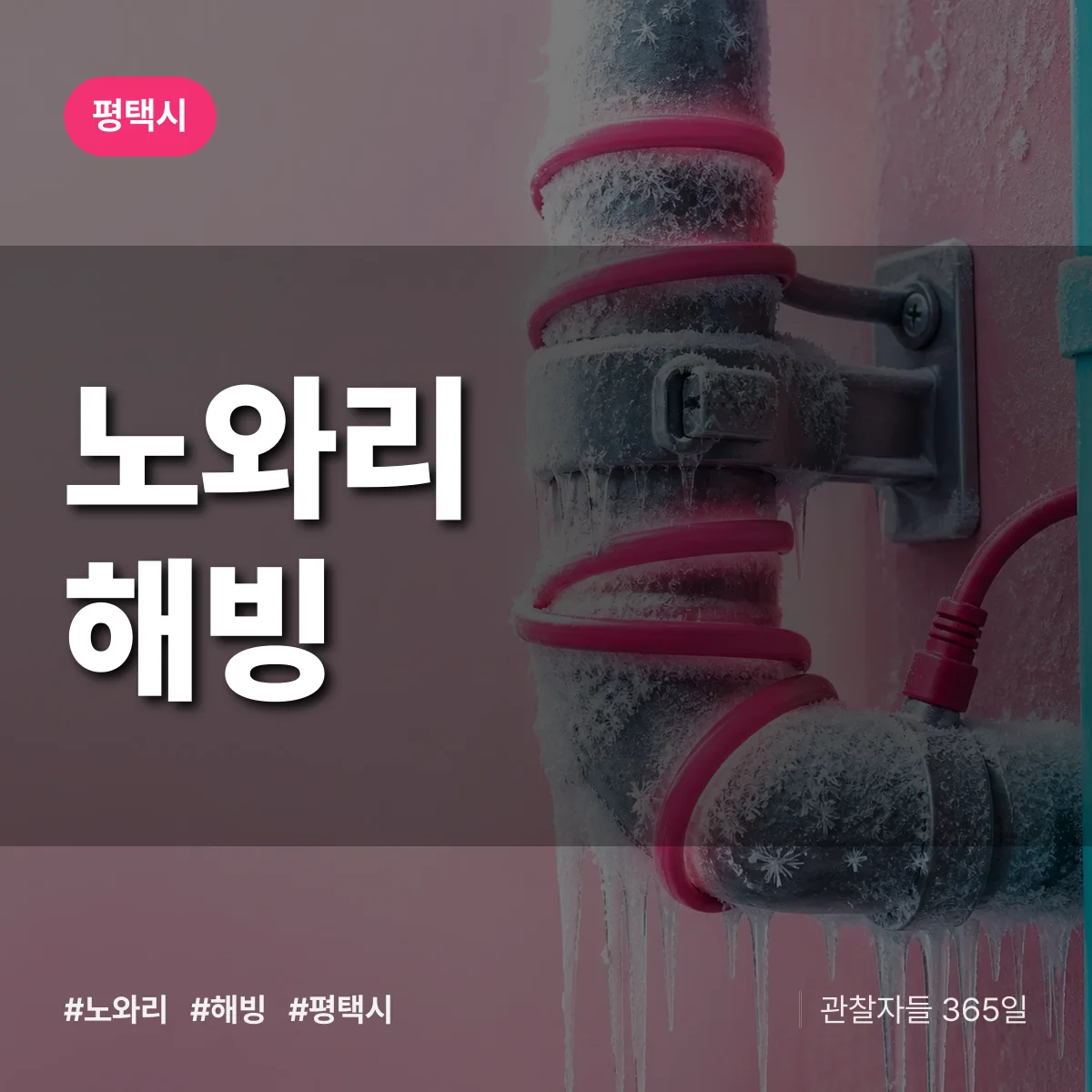 노와리 해빙 배너