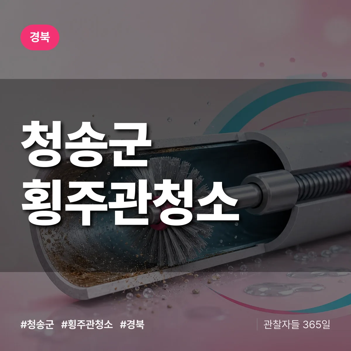 경북 청송군 횡주관청소 배너