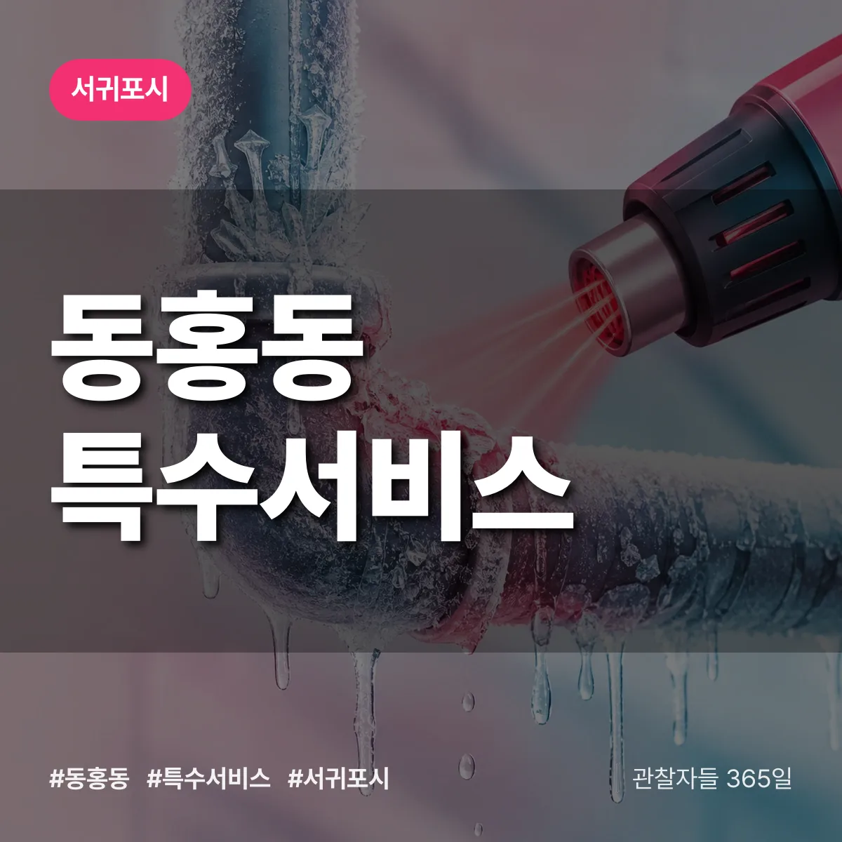 서귀포시 동홍동 특수서비스 상담 배너