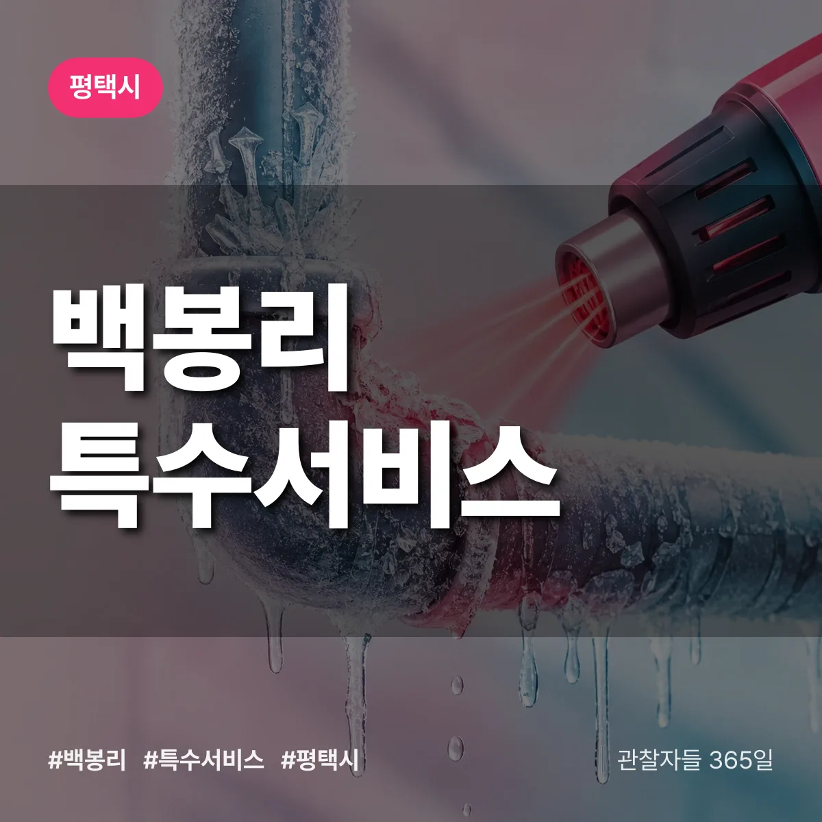 평택시 백봉리 특수서비스 상담 배너