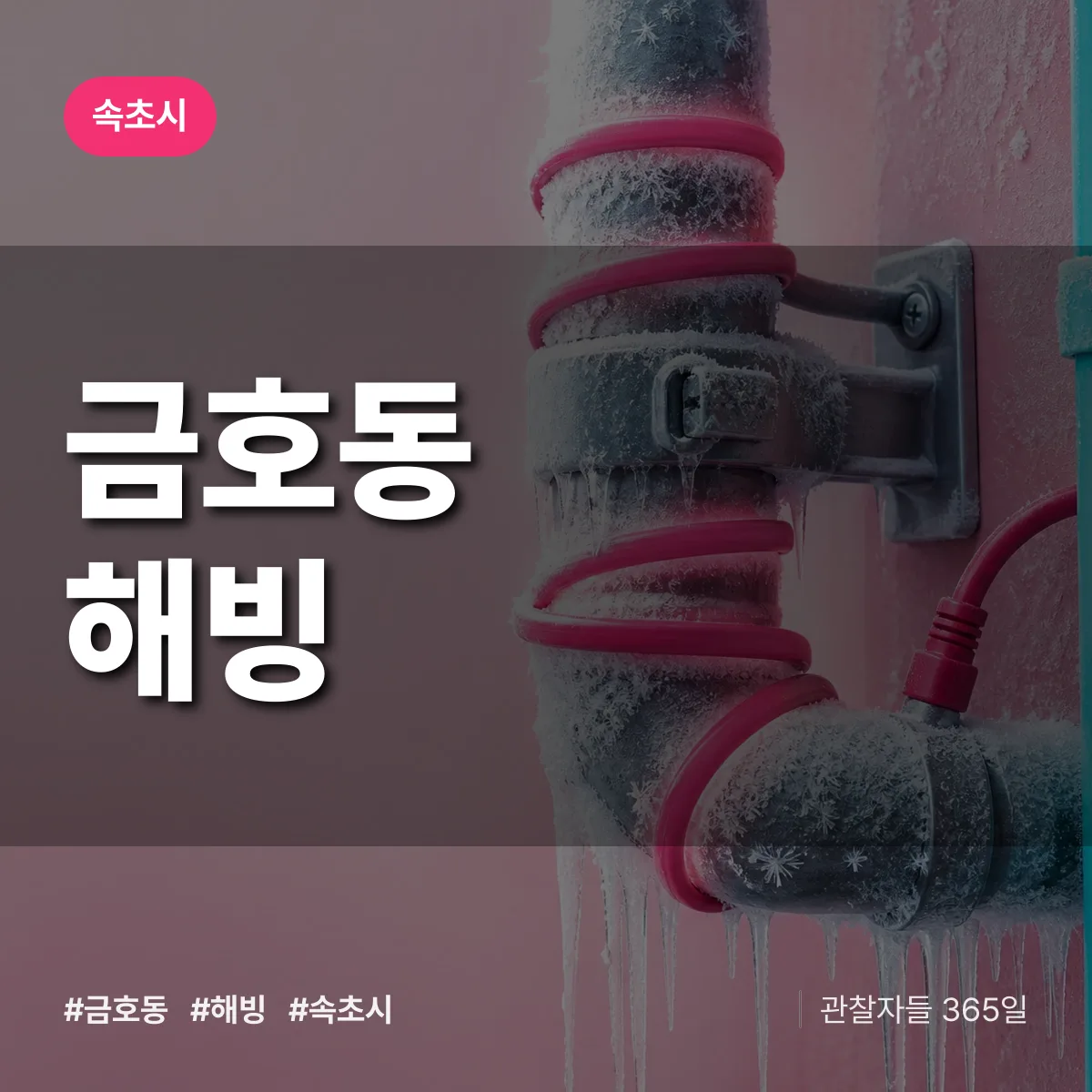 속초시 금호동 해빙 상담 배너