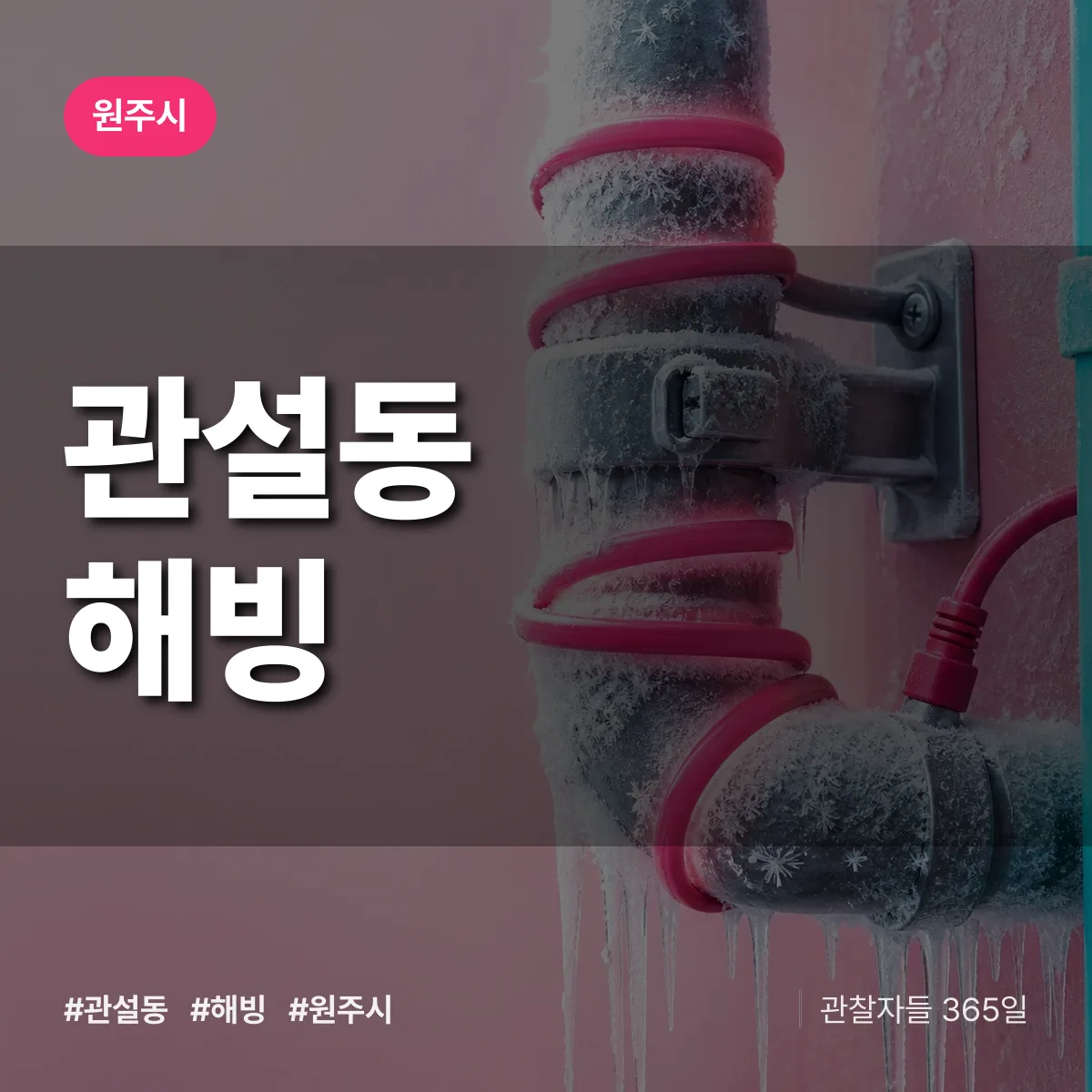 관설동 해빙 배너
