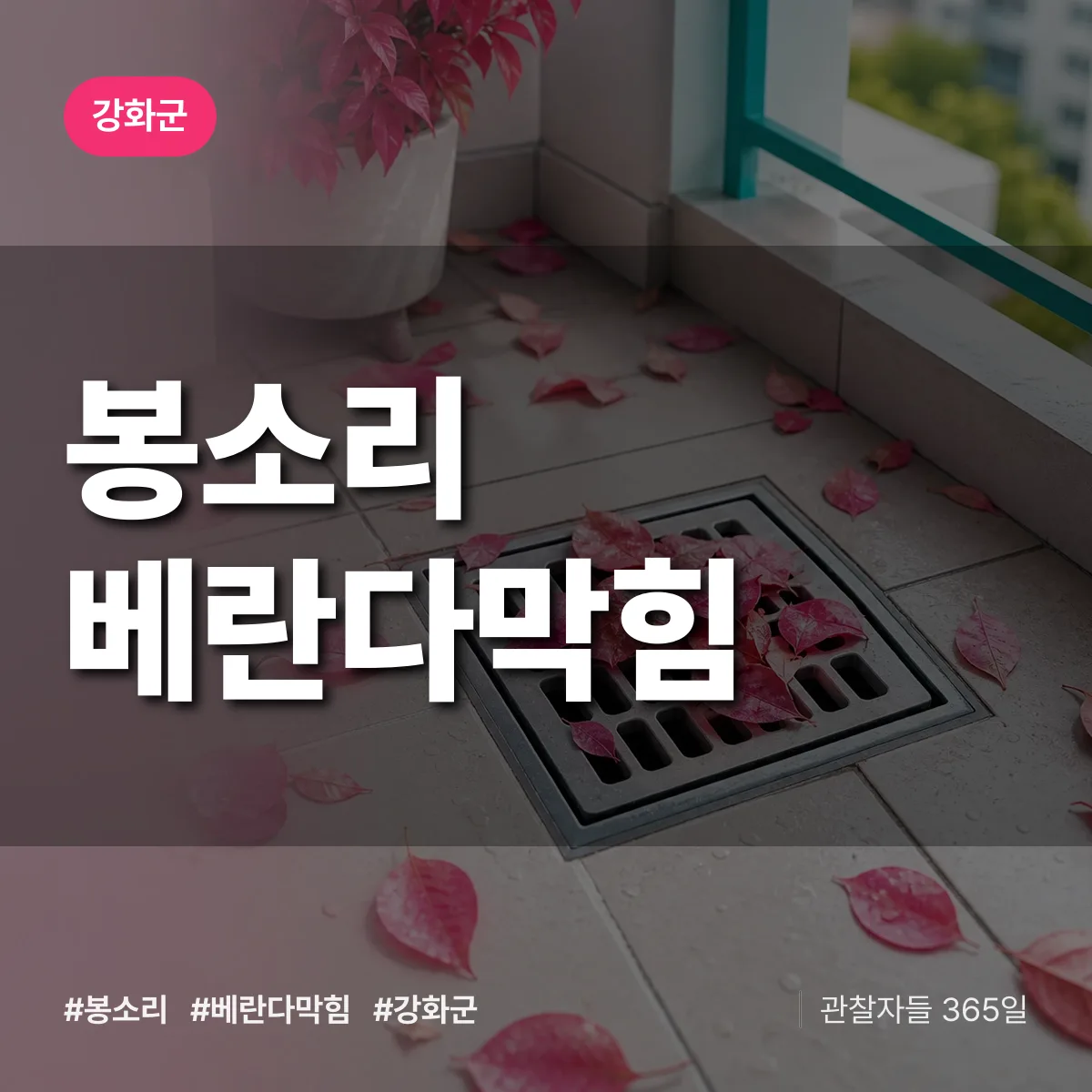 봉소리 베란다막힘 배너