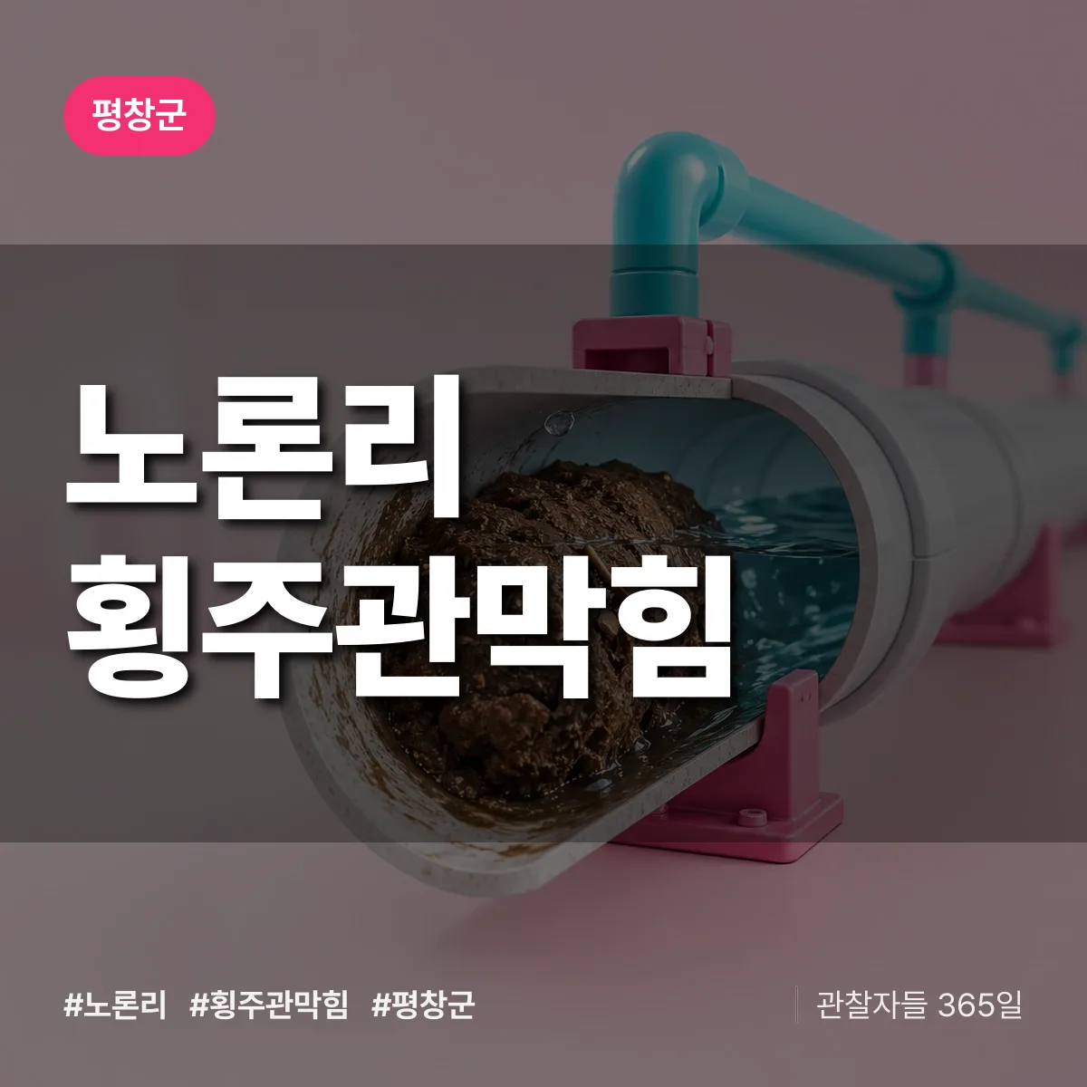 노론리 횡주관막힘 배너