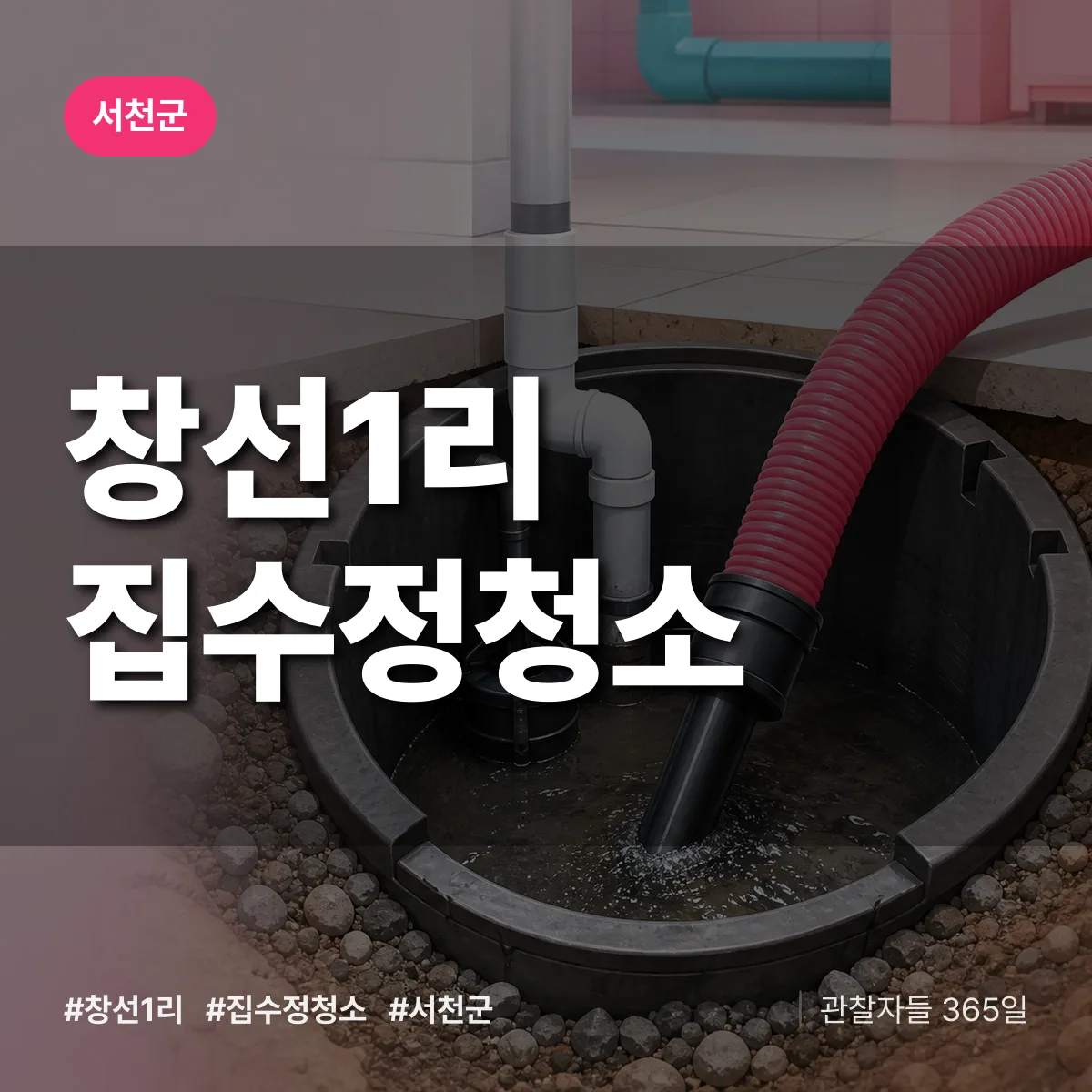 창선1리 집수정청소 배너