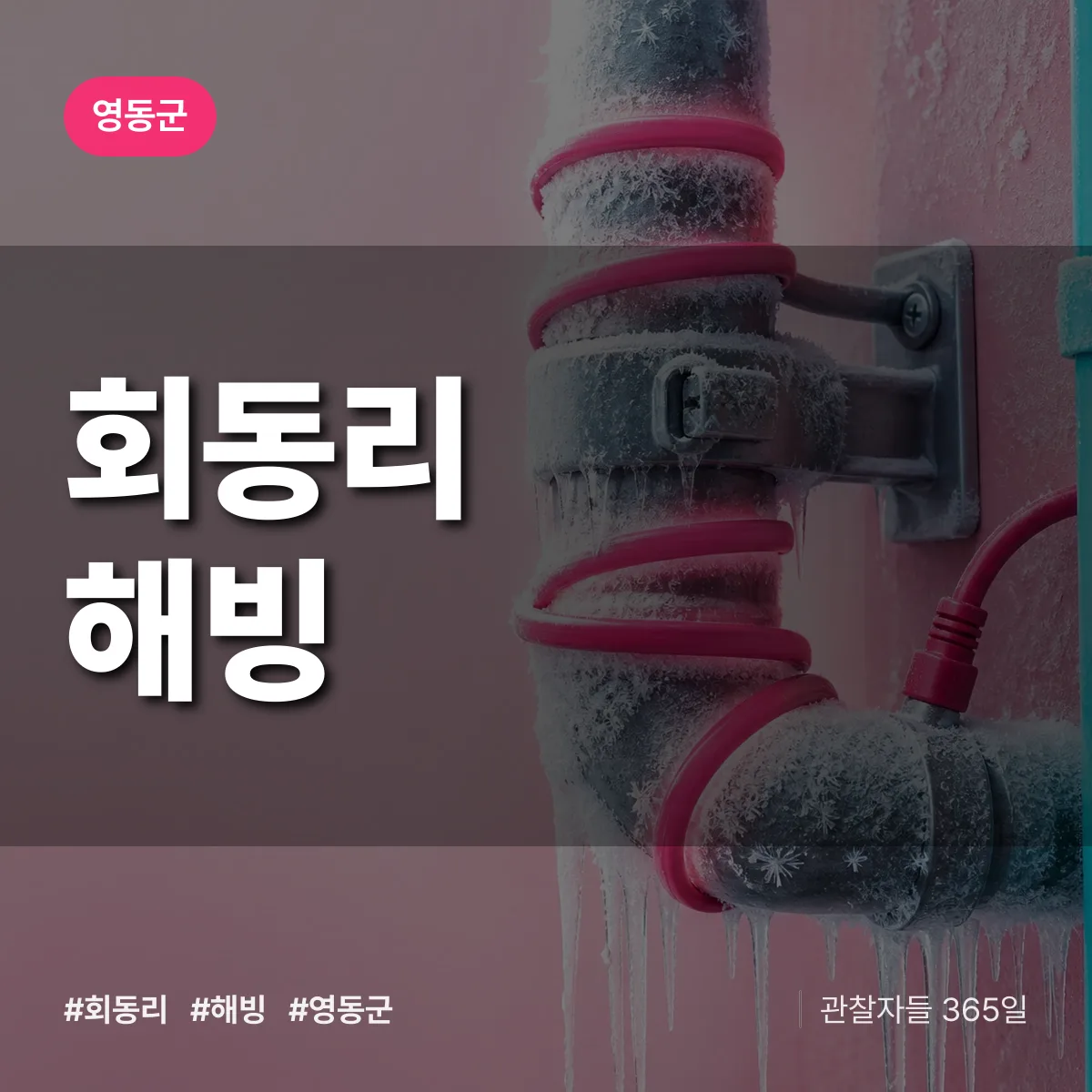 회동리 해빙 배너