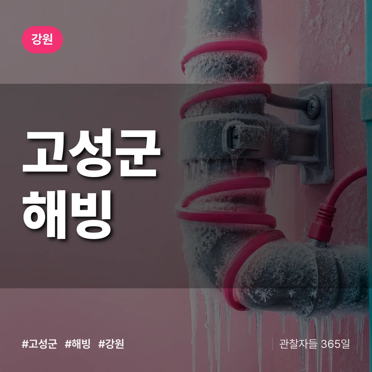 강원 고성군 해빙 배너