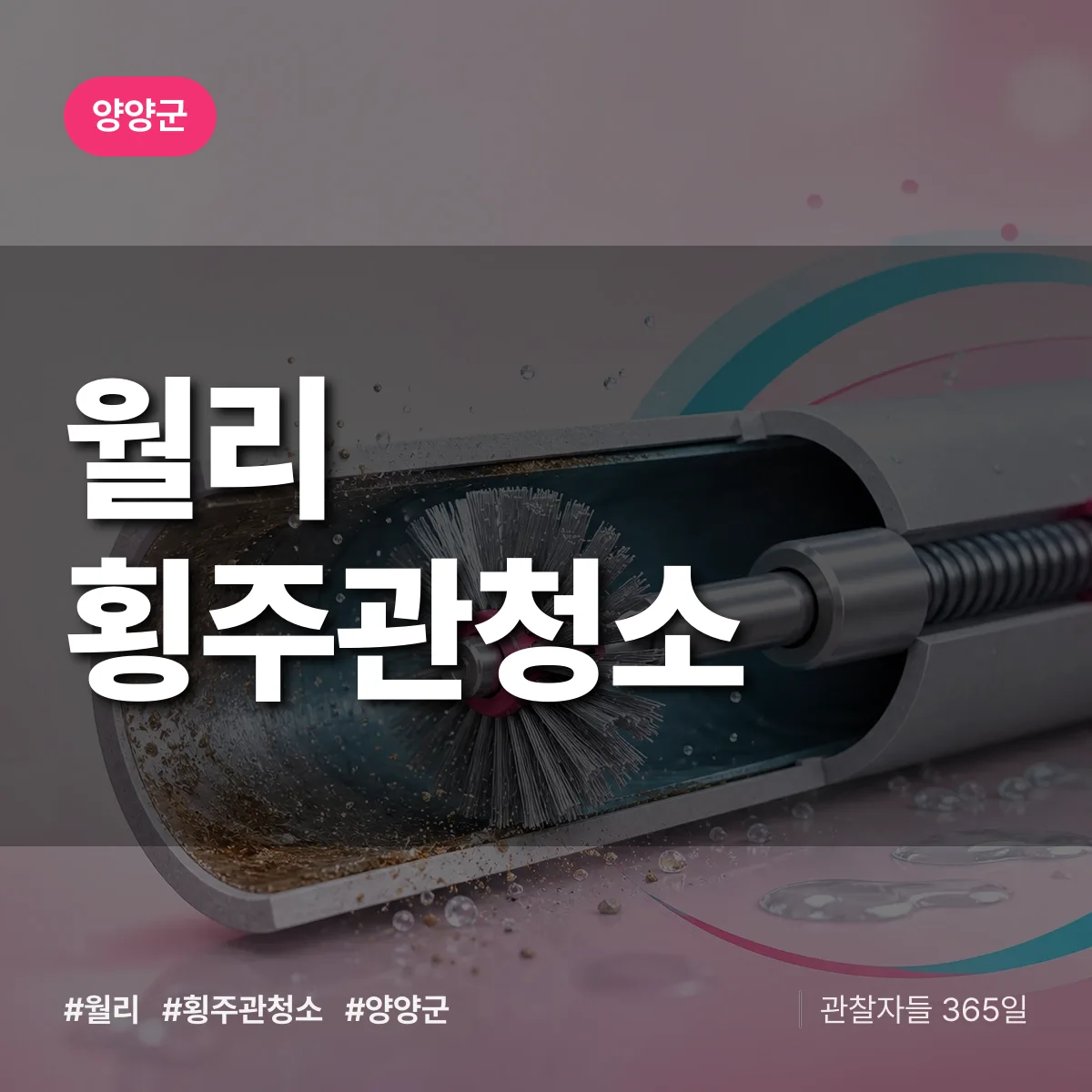월리 횡주관청소 배너