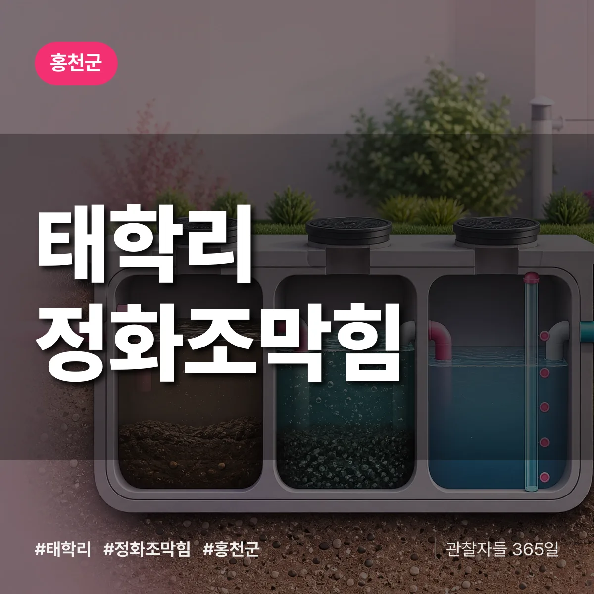 태학리 정화조막힘 배너