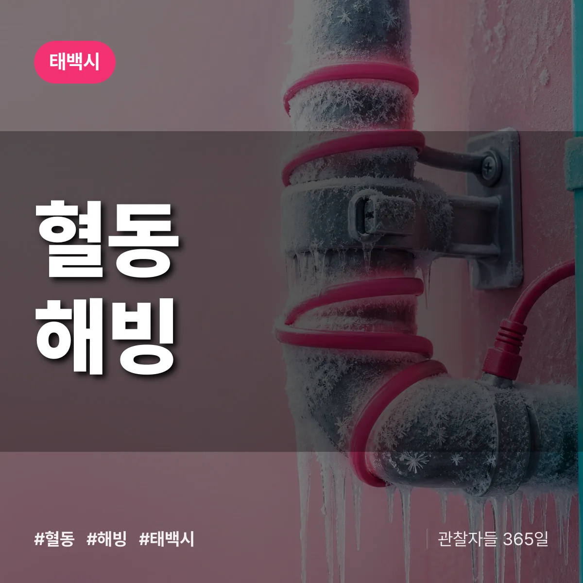 혈동 해빙 배너