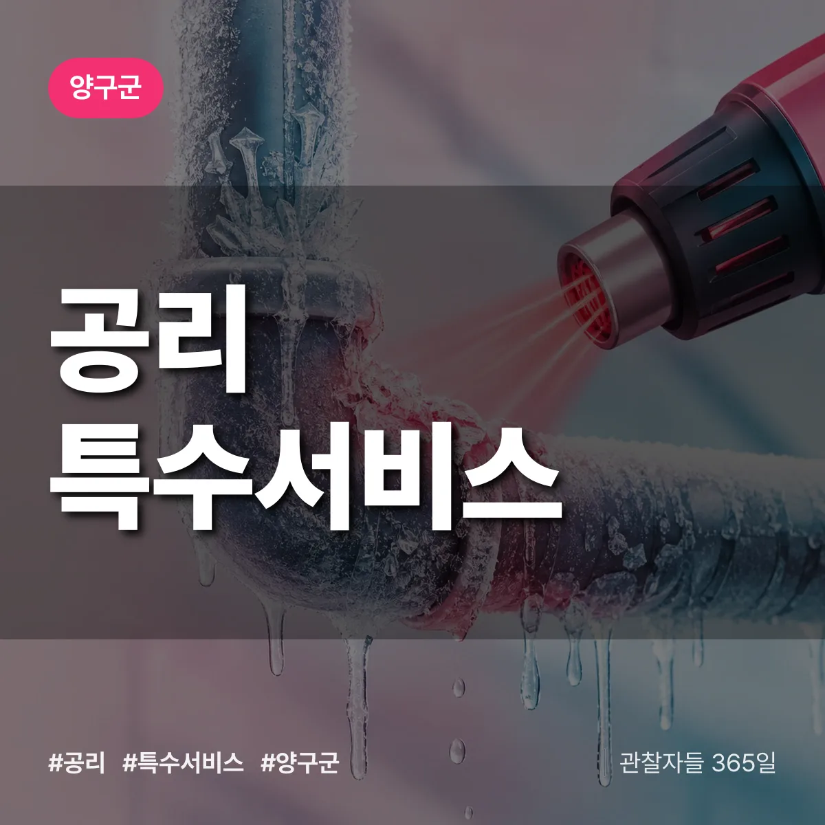 양구군 공리 특수서비스 상담 배너