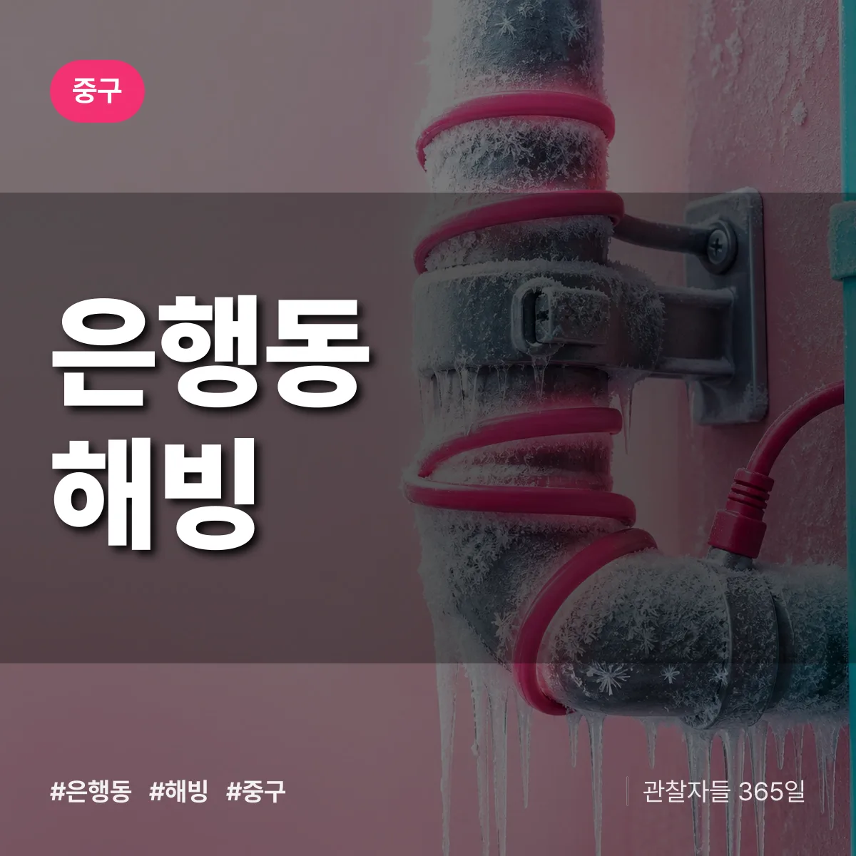 중구 은행동 해빙 상담 배너