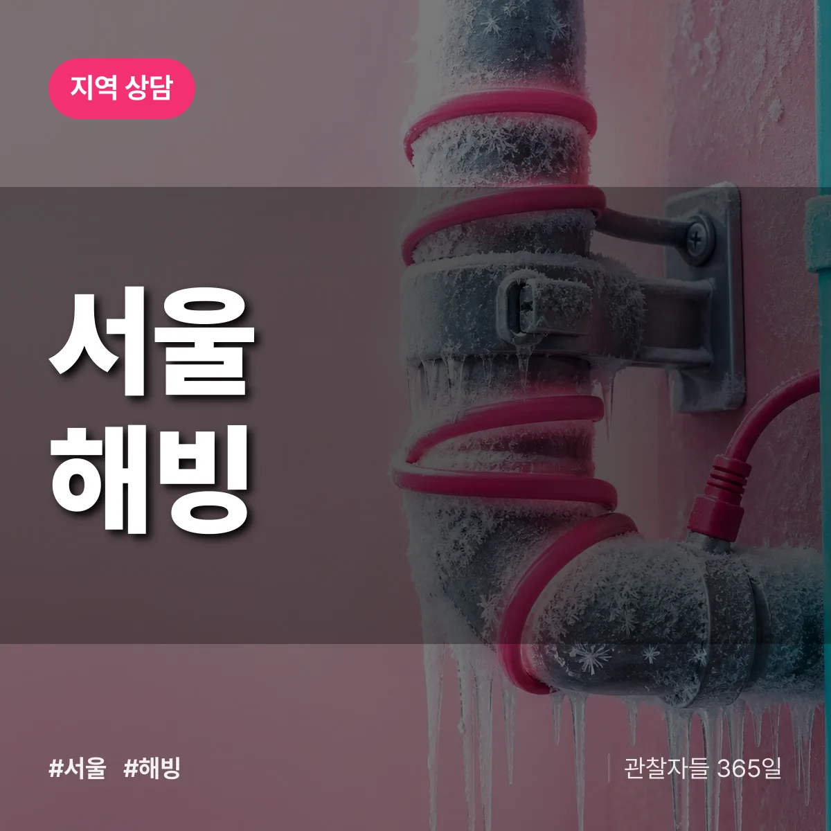 서울 해빙 배너