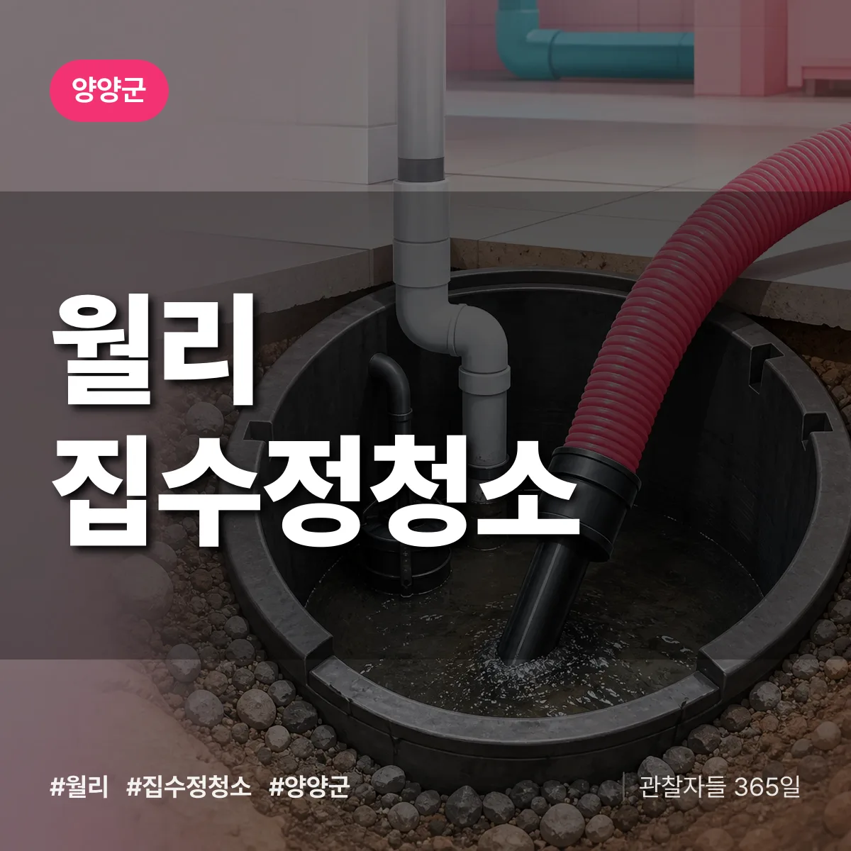월리 집수정청소 배너