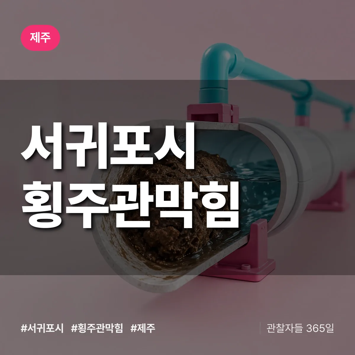 제주 서귀포시 횡주관막힘 배너