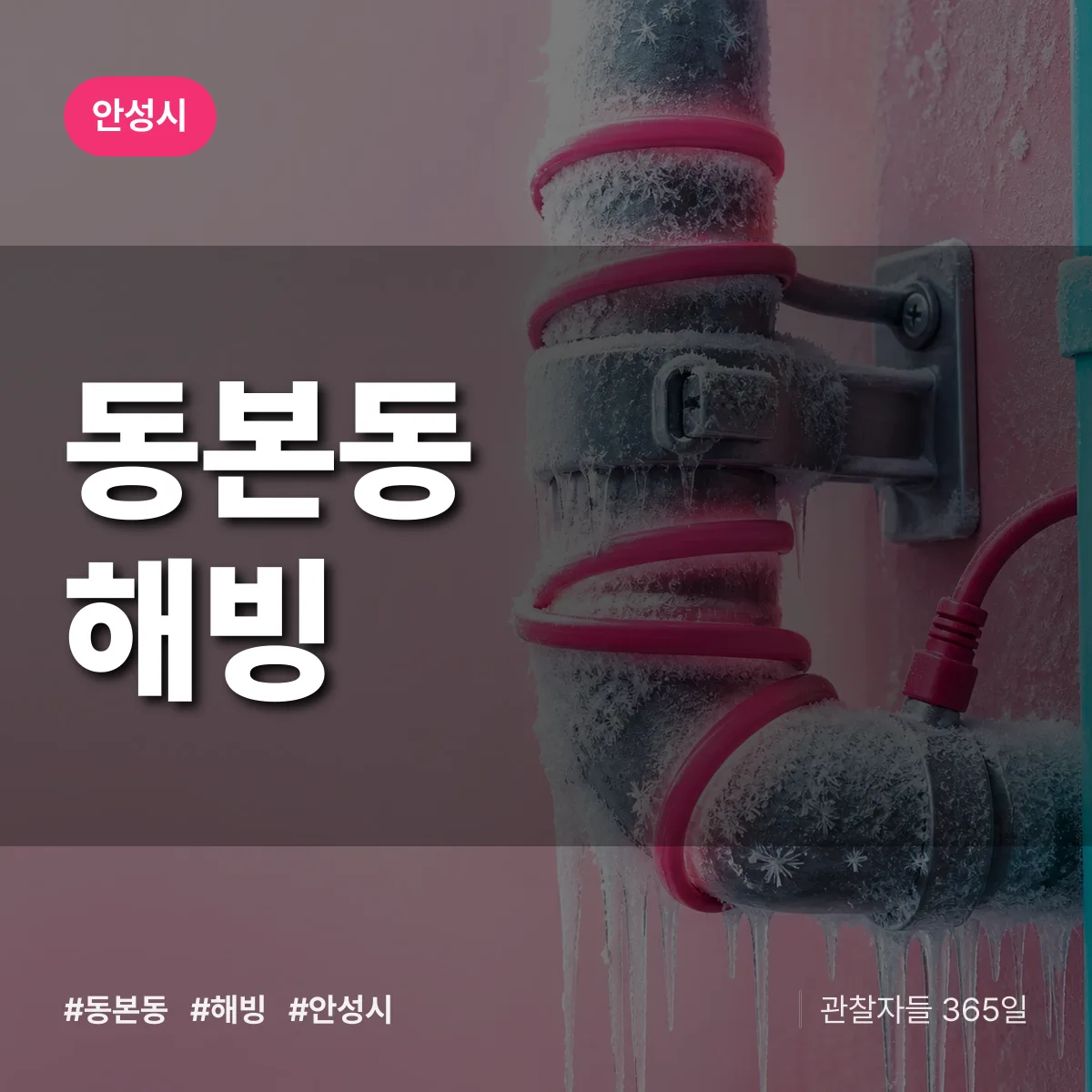동본동 해빙 배너