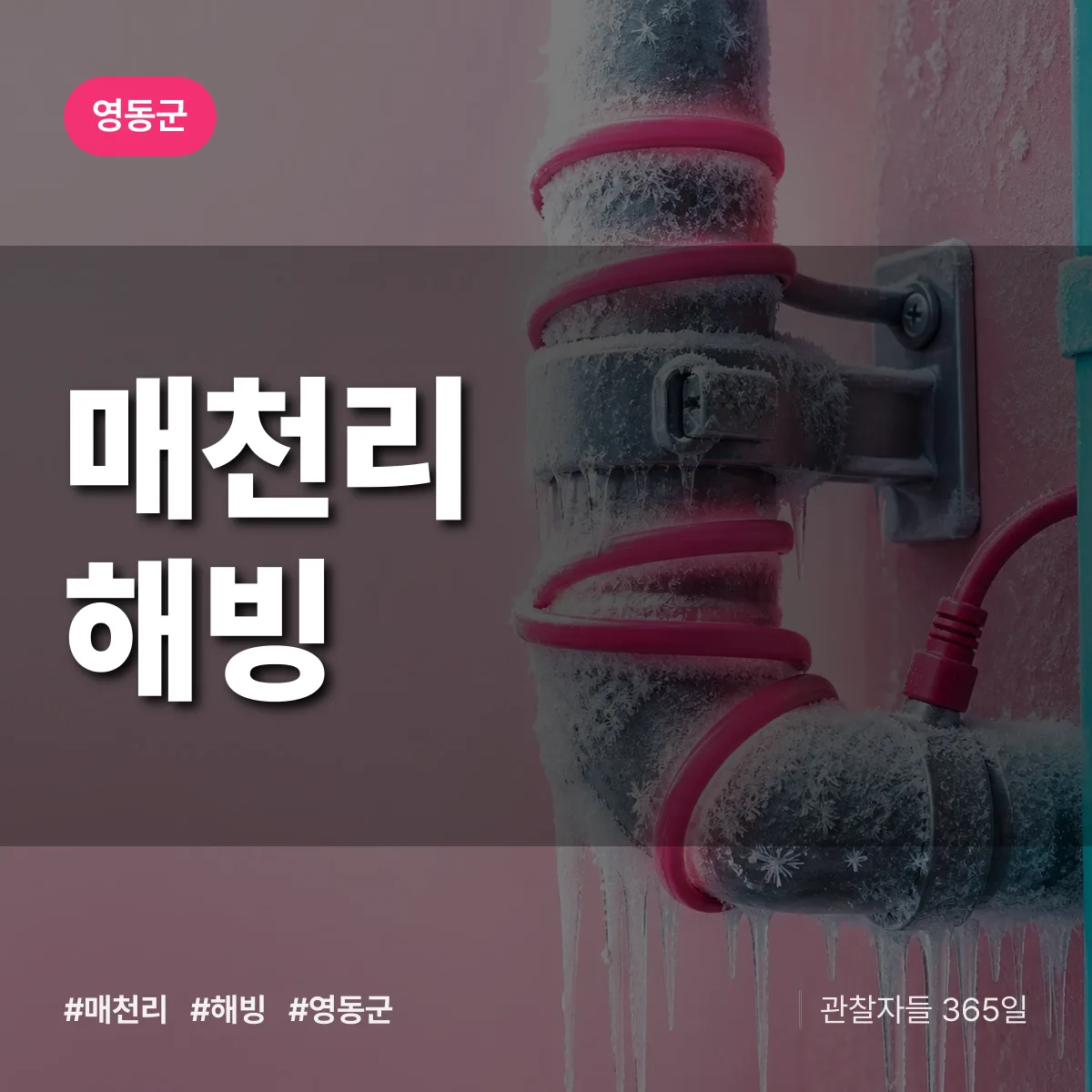 매천리 해빙 배너
