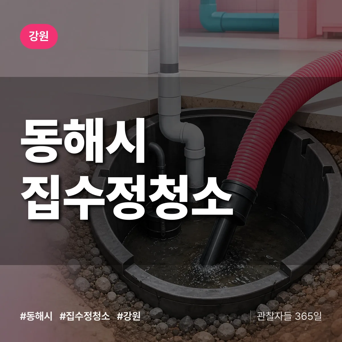 강원 동해시 집수정청소 배너